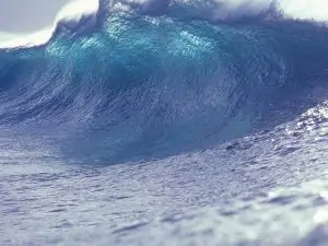 Pourquoi rêver de tsunami ?