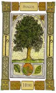 Oracle celte des arbres: la carte le hêtre