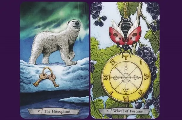 Le Tarot Animal Totem