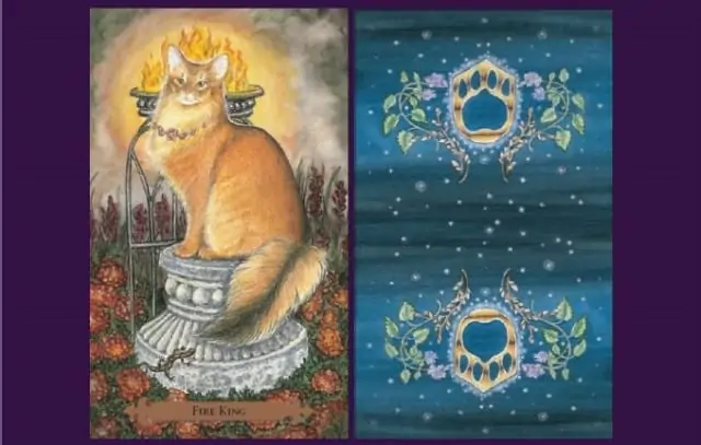 Le tarot des chats mystiques