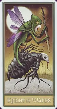 Tarot Deviant Moon : carte knight of wands