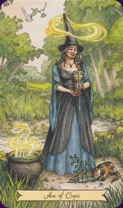 Tarot Histoire de Sorcières carte as of cups