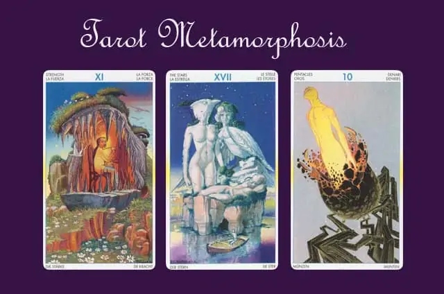 Tarot of metamorphosis