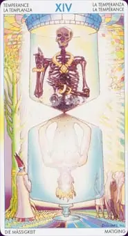 Tarot of metamorphosis: carte la tempérance