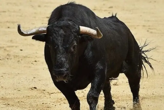 Rêver de taureau - Significations et interprétations précises: