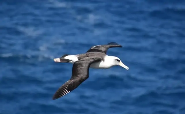 superstitions chez les marins