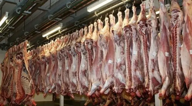 Pourquoi rêver d'abattoir ?