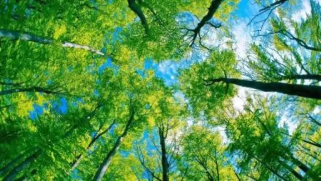 Les rêves sur la nature.