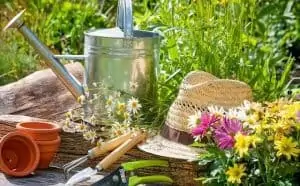 rêver de jardin