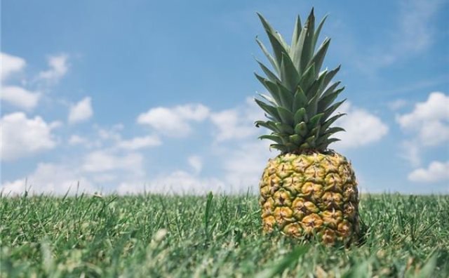 Pourquoi rêver d'ananas ?