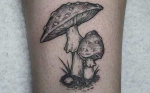 Tatouage de champignon