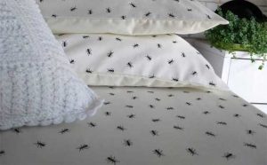rêver de fourmis dans le lit