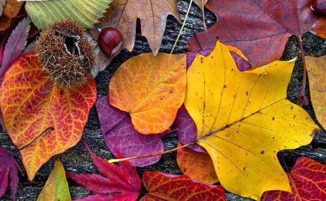 signification spirituelle du mois du mois d'octobre :