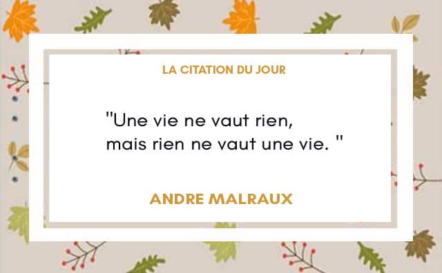 Citation du 11 novembre