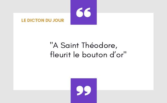 Dicton du 09 novembre