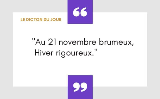 Dicton du 21 novembre