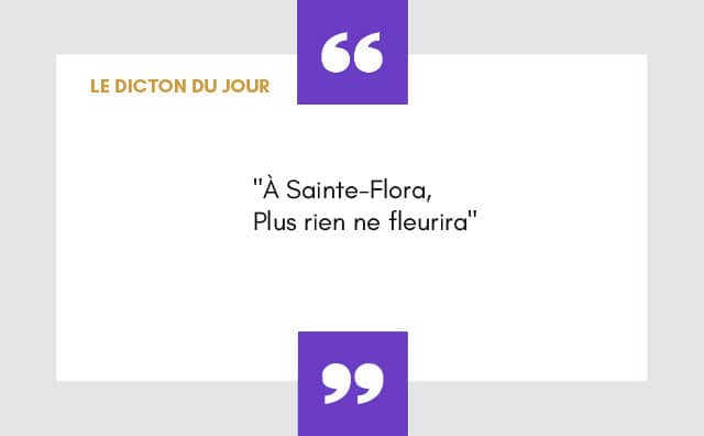 Dicton du 24 novembre