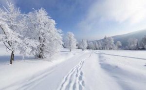 rêver de neige
