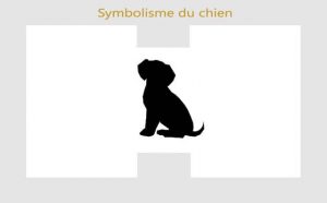 Chien : symboles et signification