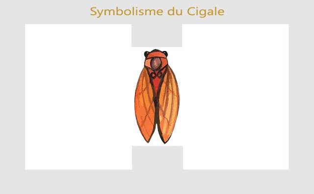 Cigale : symboles et signification