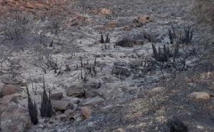 Pourquoi rêver de feu éteint ?