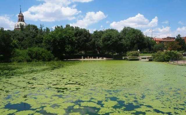 Pourquoi rêver de lac sale ?