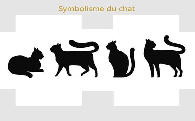 Chat : symboles et signification