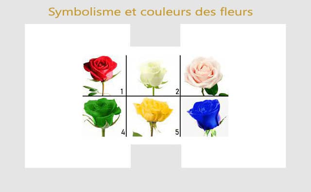 Couleurs des fleurs : symboles et signification