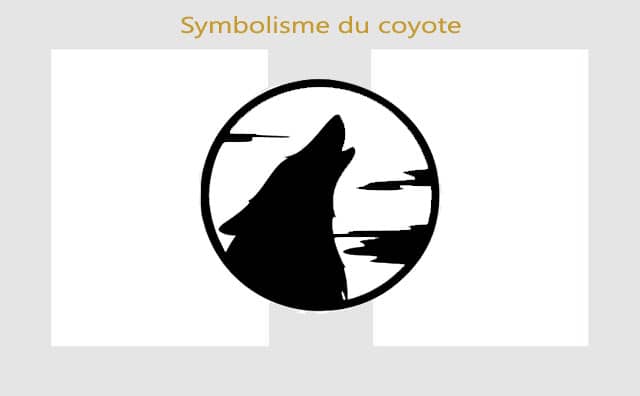 Coyote : symboles et signification