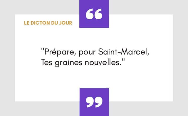 Dicton 16 janvier