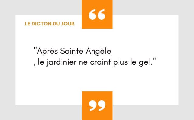 Dicton 27 janvier