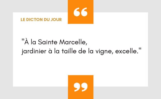 Dicton 31 janvier