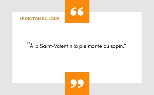 Dicton 14 février