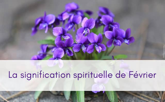 Que signifie Février en spiritualité ?