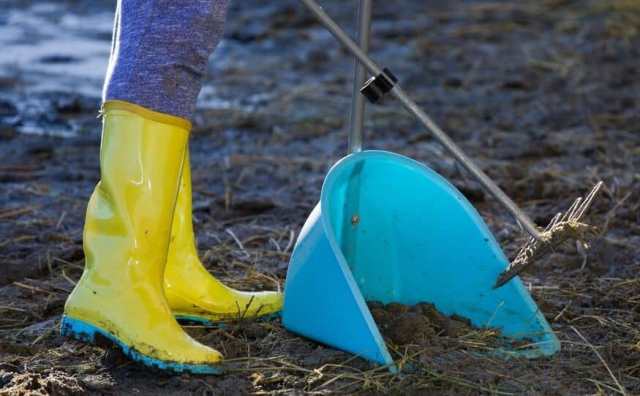 Pourquoi rêver de faire caca par terre ?