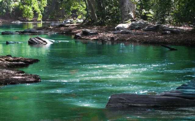 Pourquoi rêver d'eau verte ?