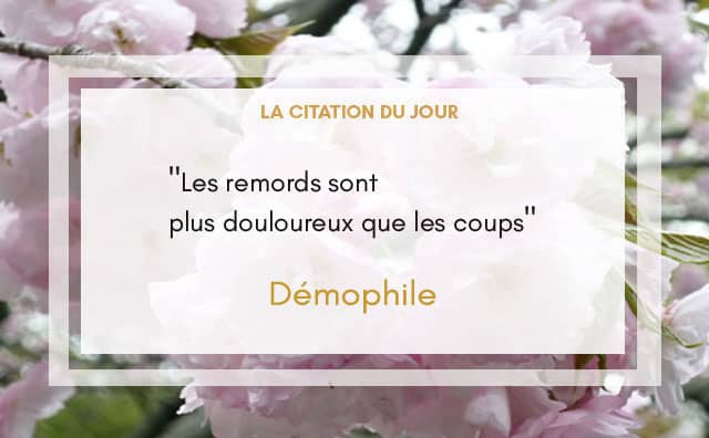 citation 22 mai