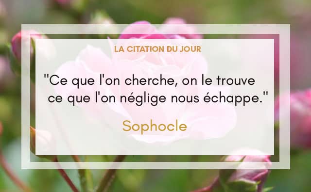 citation 01 juin