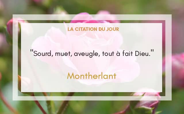 Citation 20 juin