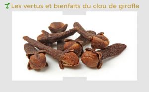 Clou de Girofle : Vertus, Pouvoirs et propriétés