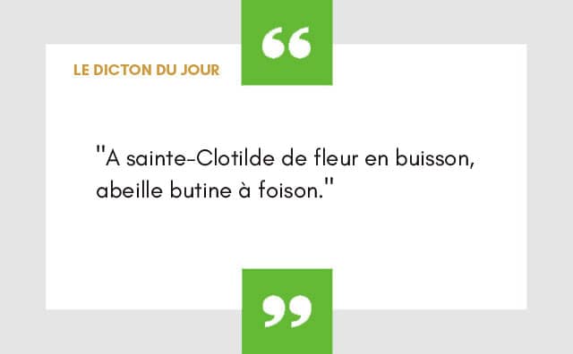 dicton 04 juin