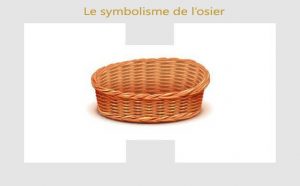 Osier : symbolisme et signification