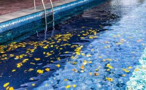 Pourquoi rêver de piscine sale ?