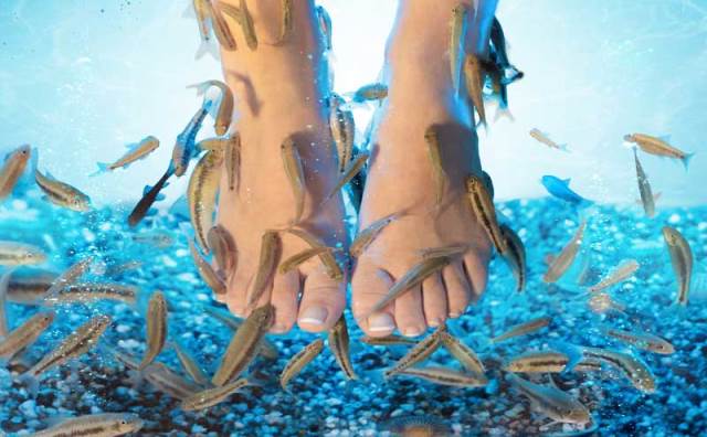 Pourquoi rêver de poisson qui vous mord le pied ?