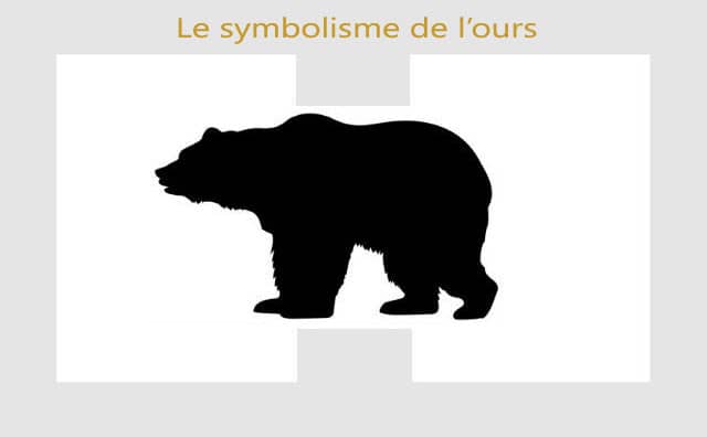 Ours : symbolisme et signification