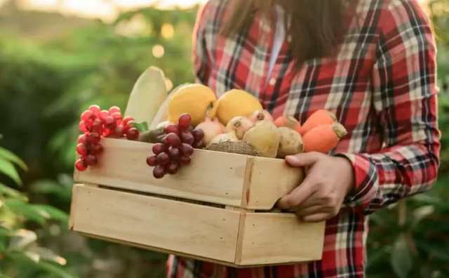 Comment bien interpréter rêver d'acheter des fruits ?