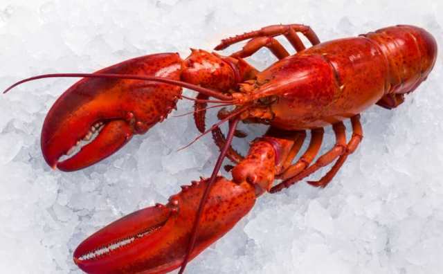 Comment bien interpréter rêver de homard en Islam ?