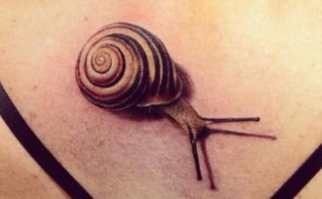 Signification tatouage escargot