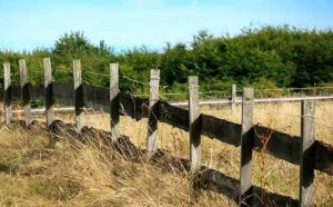Comment bien interpréter rêver de clôture ?