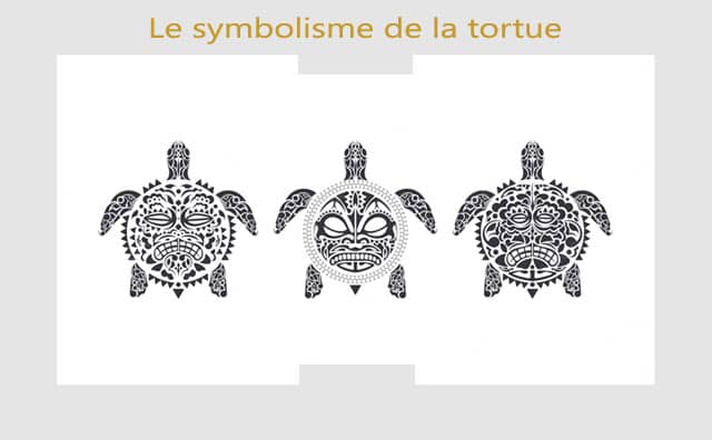 Tortue : symboles et significations